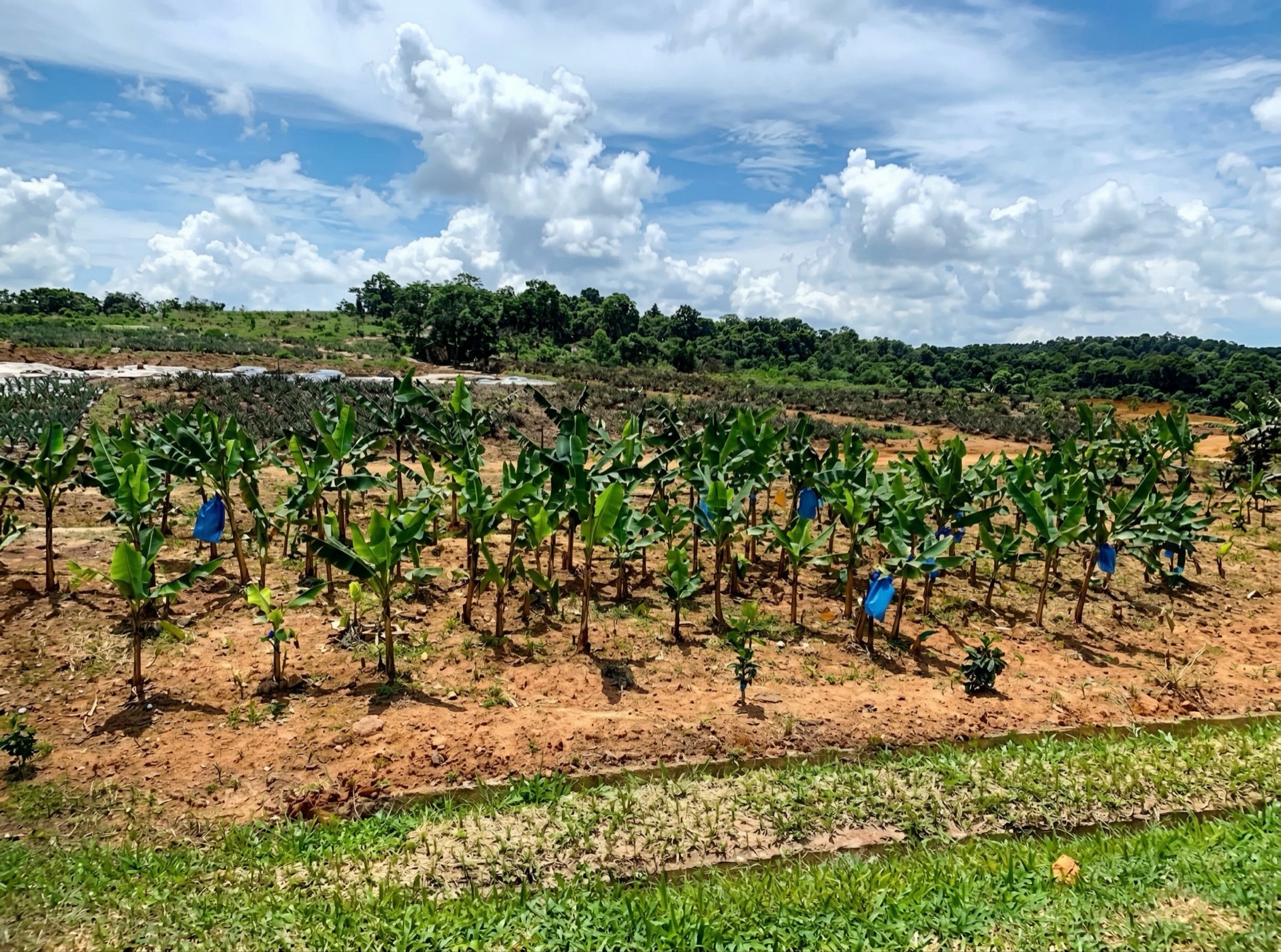 Community-driven enterprise activities — Orang Asli artisans and workers building economic resilience through Saora+ programmes