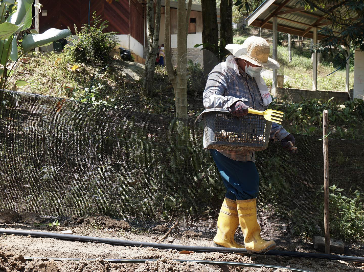 Community members preparing goods for market as part of a Saora+ sustainable income generation programme
