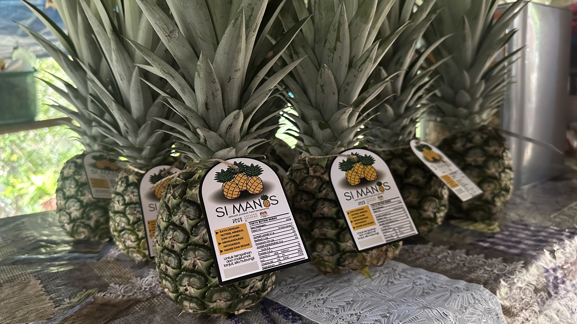 Orang Asli guides leading an eco-tourism trek through ancestral rainforest land, trained through Saora+ programs